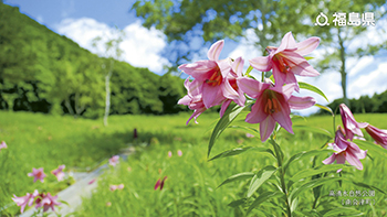 高清水自然公園（南会津町）
