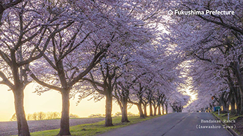 Bandaisan Ranch(Inawashiro Town)