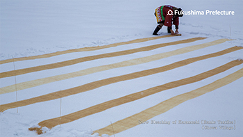 Snow Bleaching of Karamushi (Ramie Textiles) (Showa Village)