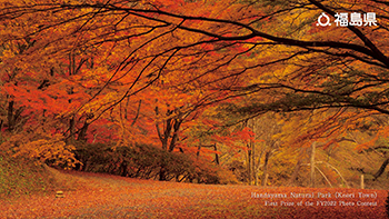 Handayama Natural Park (Koori Town)First Prize of the FY2022 Photo Contest
