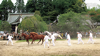 Nomakake (Minamisoma City) Second Prize of the FY2022 Photo Contest