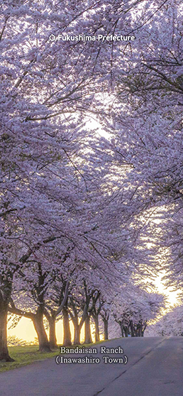 Bandaisan Ranch (Inawashiro Town)