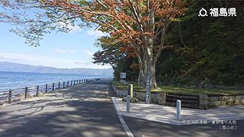 県道湖南湊線・藩領境の大松（郡山市）
