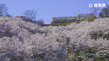 霞ヶ城公園（二本松市）