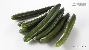 ふくしまのきゅうり