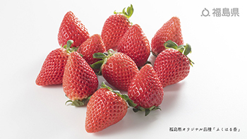 福島県オリジナル品種「ふくはる香」