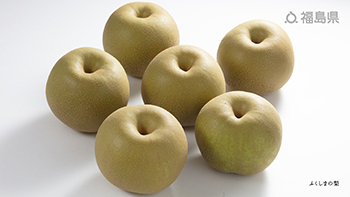 ふくしまの梨