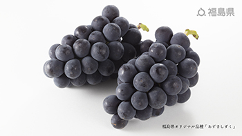 福島県オリジナル品種「あずましずく」