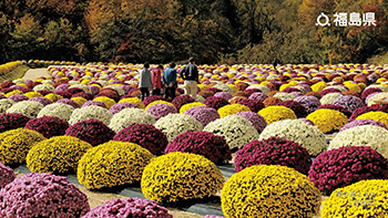 菊の里ときわ（田村市）