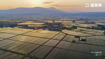 村の田園風景（湯川村）