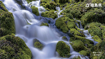 橅坂の清水（檜枝岐村）