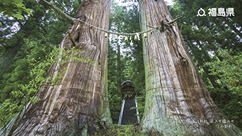 諏訪神社 翁スギ媼スギ（小野町）