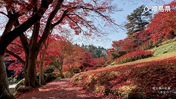 蛇の鼻の紅葉（本宮市）
