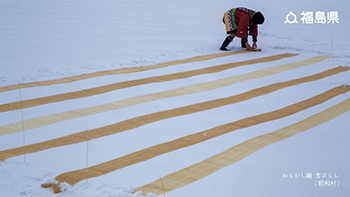 からむし織　雪ざらし（昭和村）