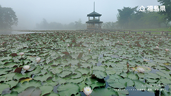 大池公園（矢吹町）2022年度フォトコンテスト受賞作品