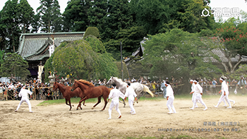 野馬懸（南相馬市）2022年度フォトコンテスト受賞作品