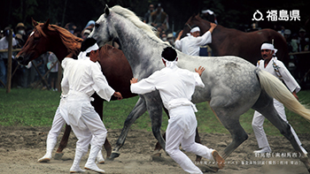 野馬懸（南相馬市）2022年度フォトコンテスト 審査員特別賞