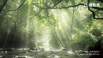 東山大滝の渓流（会津若松市）2022年度フォトコンテスト 審査員特別賞