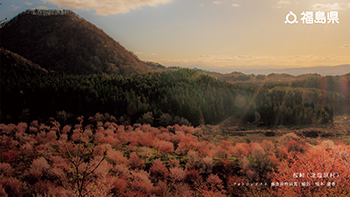 桜峠（北塩原村）フォトコンテスト 審査員特別賞