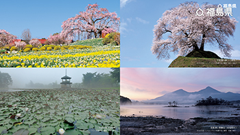 【金毘羅桜（玉川村）2022年度フォトコンテスト受賞作品、平堂壇の桜（三春町）2022年度フォトコンテスト受賞作品、大池公園（矢吹町）2022年度フォトコンテスト受賞作品、桧原湖と磐梯山（北塩原村）2022年度フォトコンテスト受賞作品】