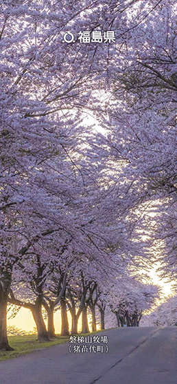 磐梯山牧場（猪苗代町）