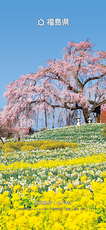 金毘羅桜（玉川村）
                      2022年度フォトコンテスト受賞作品