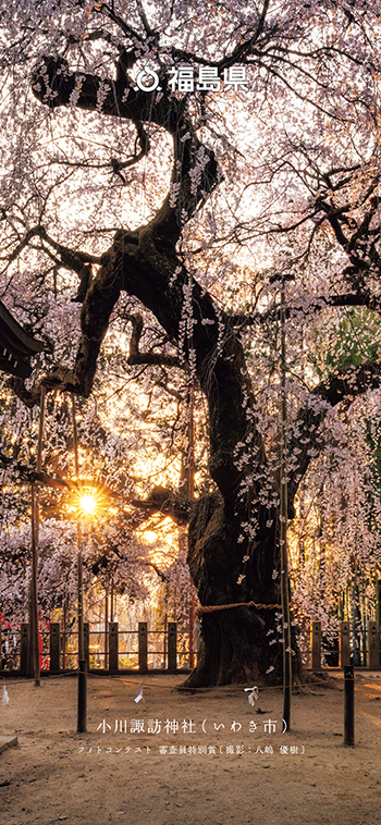 小川諏訪神社（いわき市）フォトコンテスト 審査員特別賞